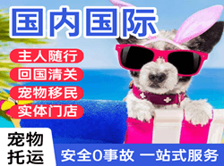 鄂伦春机场托运国际宠物托运 【国